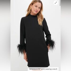 Tucker Black feather Ellie